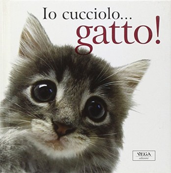 io cucciolo...gatto!