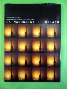 Madonnina di Milano. Grande formato fotografico a colori