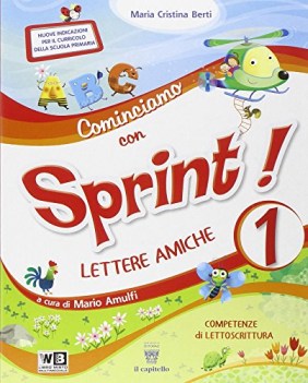 cominciamo con sprint 1 it/sto/geo