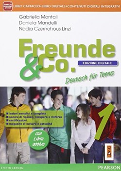 freunde and co., ed.digitale 1 +cd tedesco, grammatica