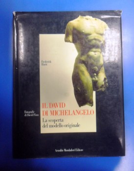 David di Michelangelo la scoperta del modello originale