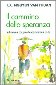 cammino della speranza testimoniare con gioia l\'appartenenza a cristo