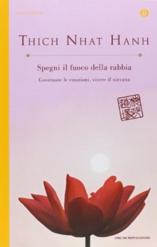 spegni il fuoco della rabbia. governare le emozioni vivere il nirvana