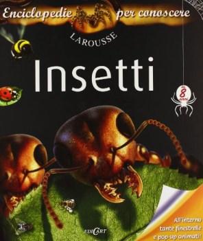 insetti enciclopedie per conoscere