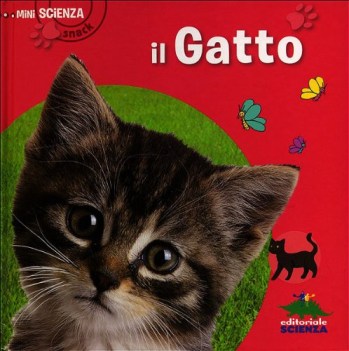 gatto