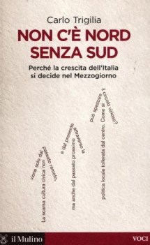 non c\' nord senza sud