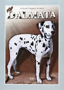 dalmata