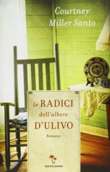 radici dell\'albero dell\'ulivo