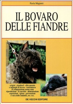 bovaro delle fiandre