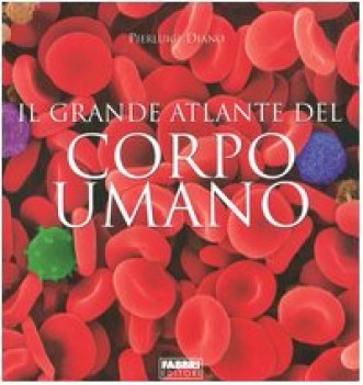 grande atlante del corpo umano