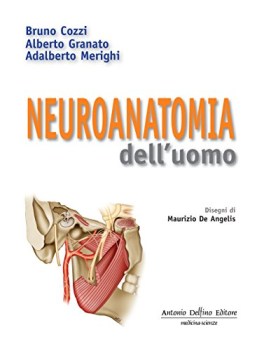 Neuroanatomia dell\'uomo. Delfino editore 2009 rist.2016