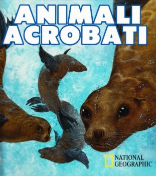 animali acrobati