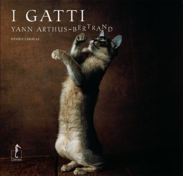 gatti