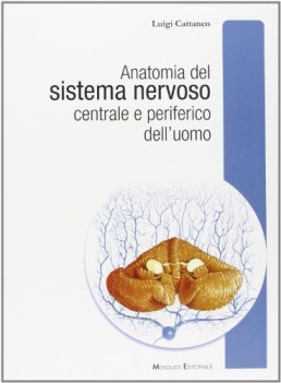 anatomia del sistema nervoso centrale e periferico dell\'uomo