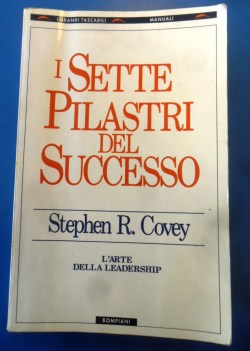 sette pilastri del successo