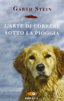 arte di correre sotto la pioggia