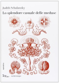 splendore casuale delle meduse