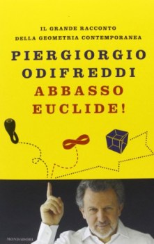 abbasso euclide il grande racconto della geometria contemporanea ediz illustrata