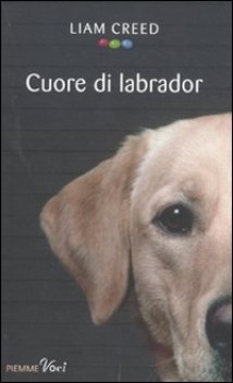 cuore di labrador