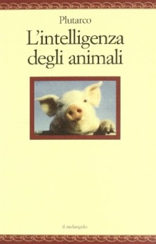 intelligenza degli animali