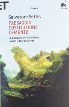 paesaggio costituzione cemento