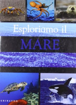 esploriamo il mare