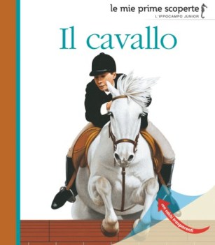 cavallo