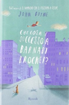 che cosa e successo a barnaby brocket?