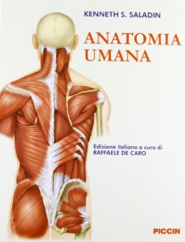 anatomia umana