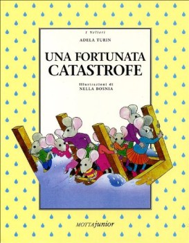 sfortunata catastrofe