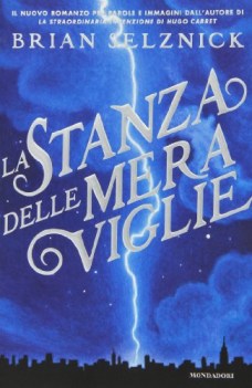 stanza delle meraviglie