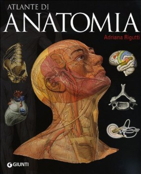 atlante di anatomia