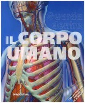 guarda dentro il corpo umano