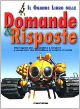 grande libro delle domande e risposte