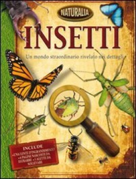 insetti