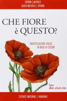 che fiore  questo?