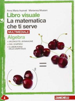 matematica che ti serve, algebra+geom.3 matematica sc.media