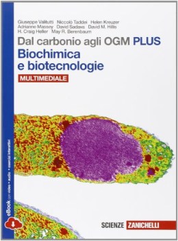 dal carbonio agli ogm PLUS BIOchimica biotecnologie