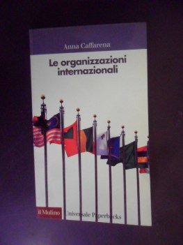 organizzazioni internazionali