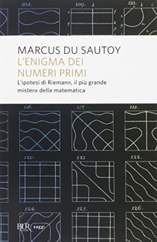 enigma dei numeri primi