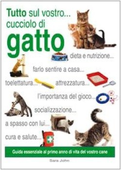 tutto sul vostro cucciolo di gatto