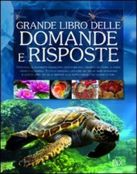 grande libro delle domande e delle risposte