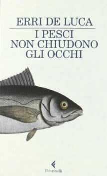 pesci non chiudono gli occhi