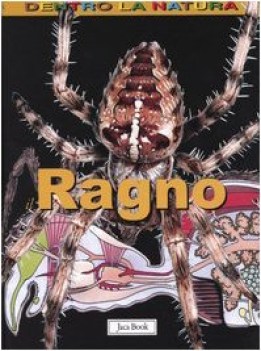 ragno