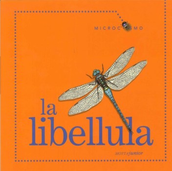 libellula