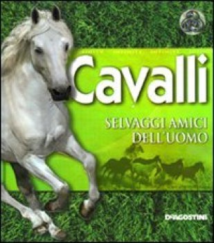 cavalli selvaggi amici dell\'uomo