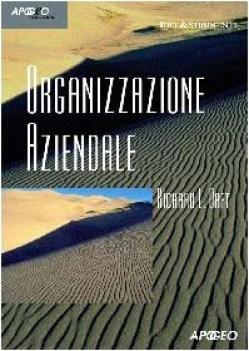 organizzazione aziendale 2ed