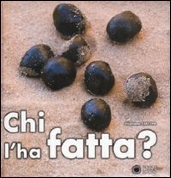 chi l\'ha fatta?