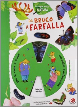 da bruco a farfalla