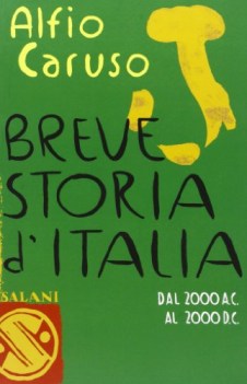 breve storia d\'italia